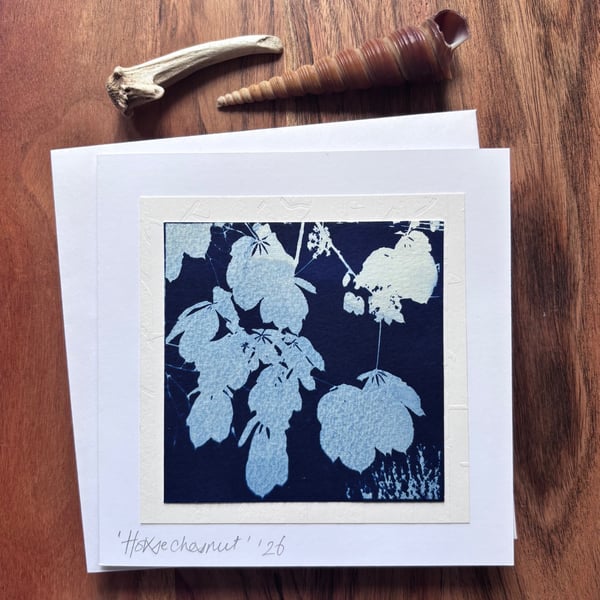 Horse Chestnut - Cyanotype Card with envelope