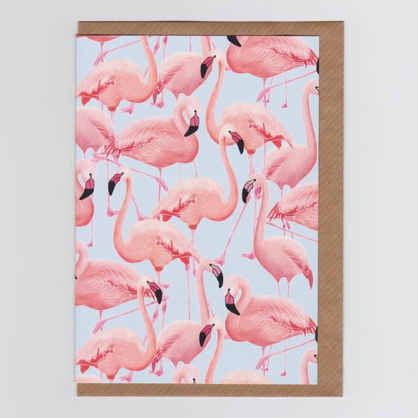 Blank Card - Flamingos