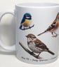 British Birds - 11oz Ceramic Mug - Plain or Birthday - Image 4