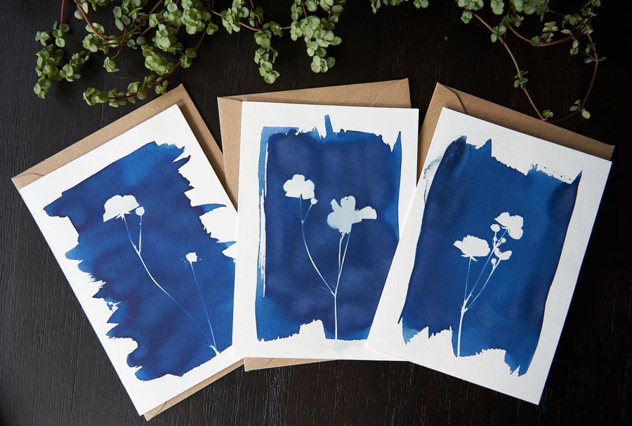 handmade A6 cyanotype cards "buttercups" set of 3 with envelopes