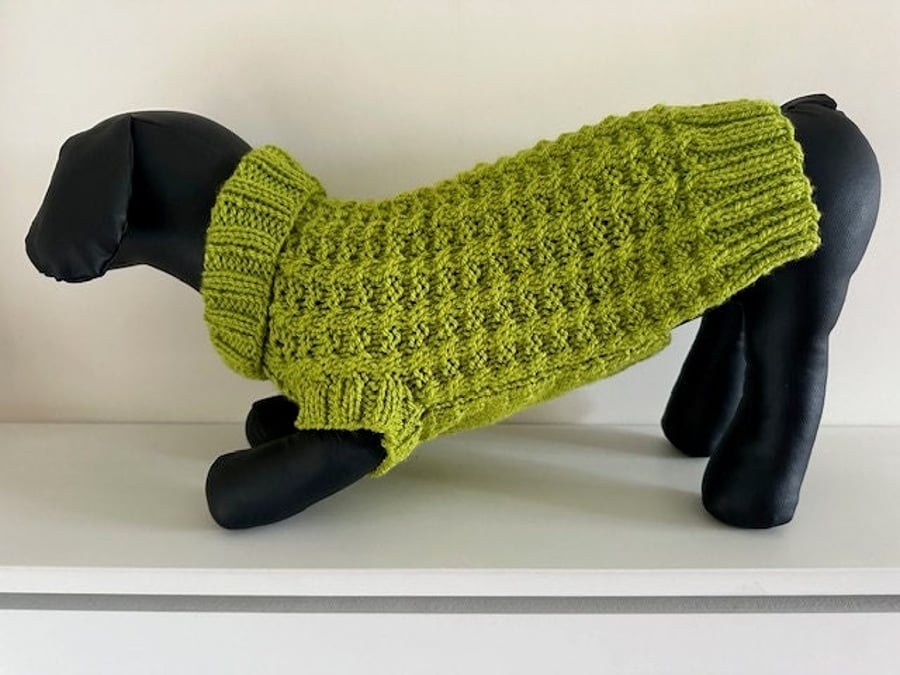 Dog Jumper - Ideal for a Miniature Dachshund or Small Dog