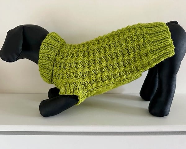 Dog Jumper - Ideal for a Miniature Dachshund or Small Dog