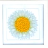 Daisy picture, glass art 