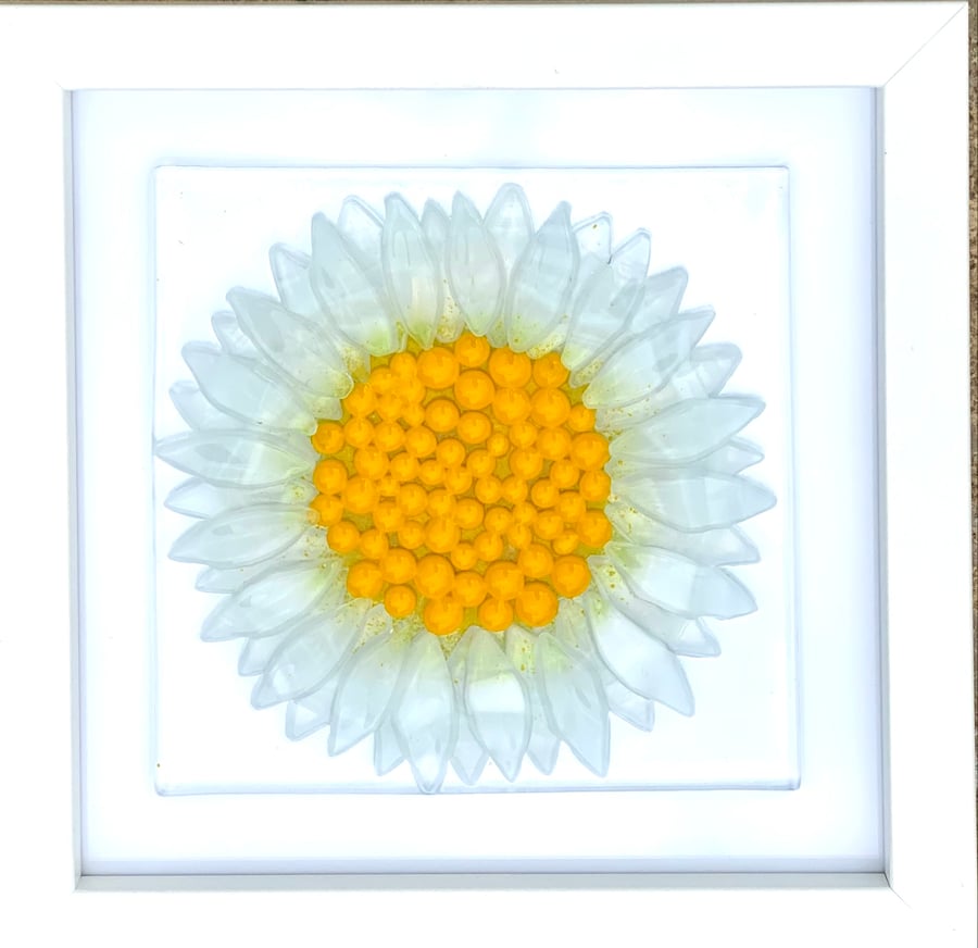 Fused hlass daisy art
