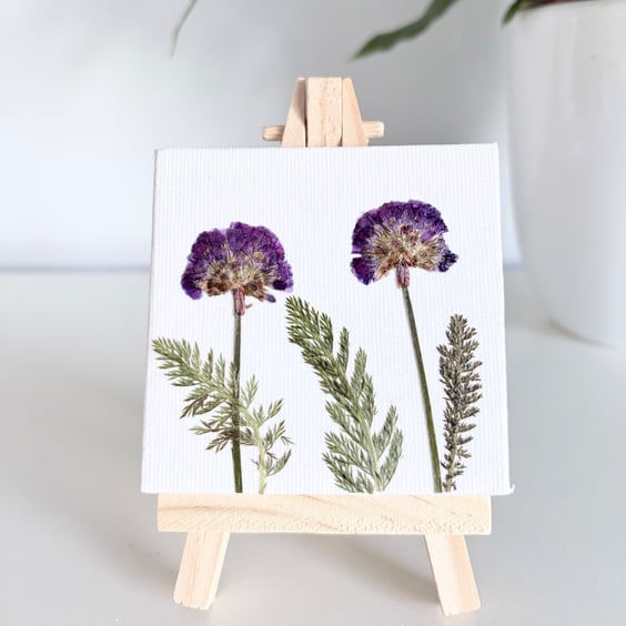 Real Pressed Flower Mini Canvas on Wooden Easel, Miniture Botanical Art