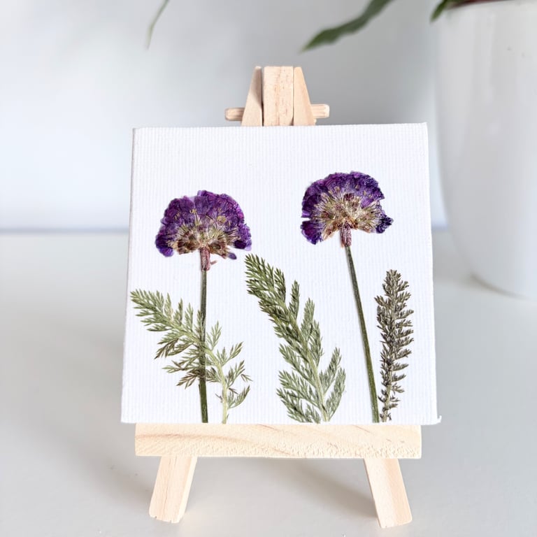Real Pressed Flower Mini Canvas on Wooden Easel, Miniture Botanical Art