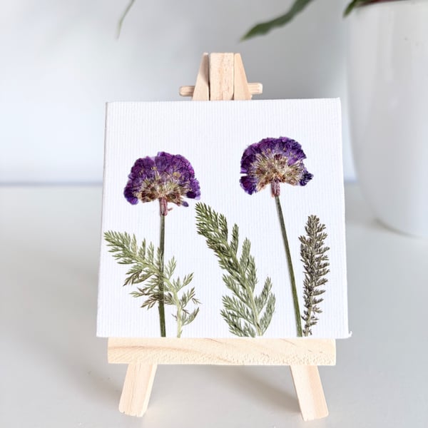 Real Pressed Flower Mini Canvas on Wooden Easel, Miniture Botanical Art