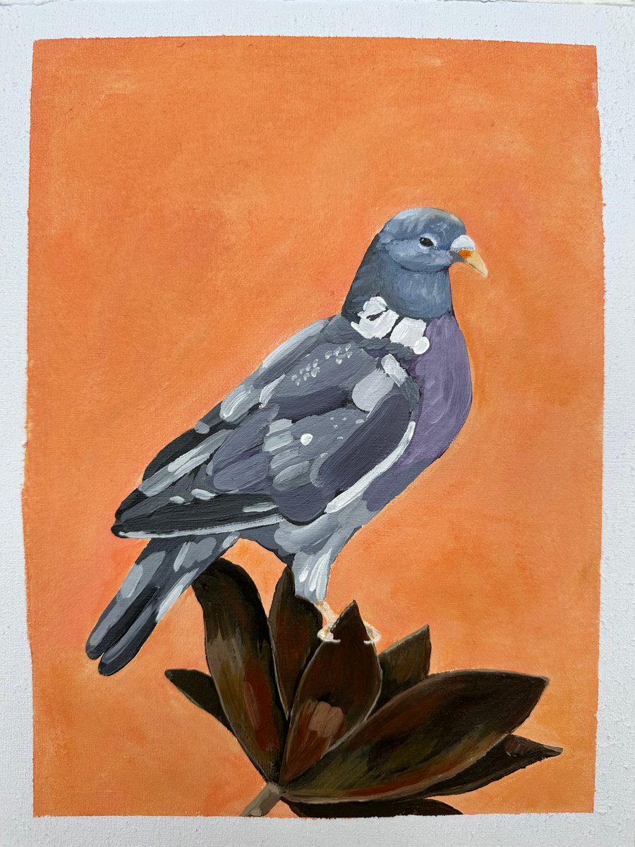 Pigeon Acrylic Painting A4