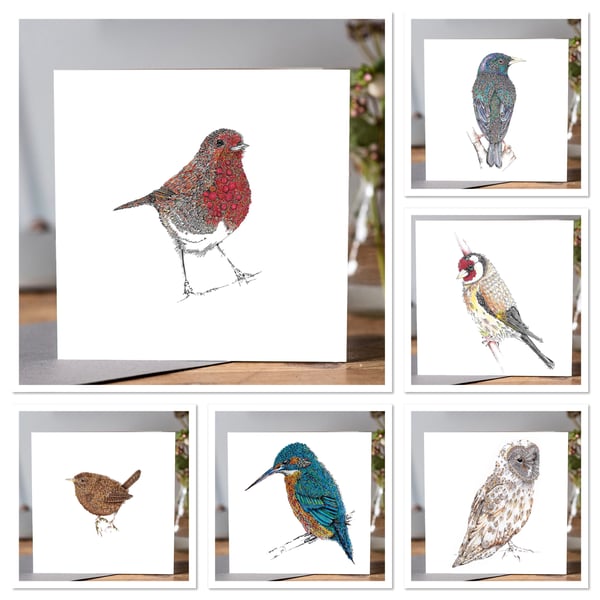 6 mixed pack of British Birds greeting card pack