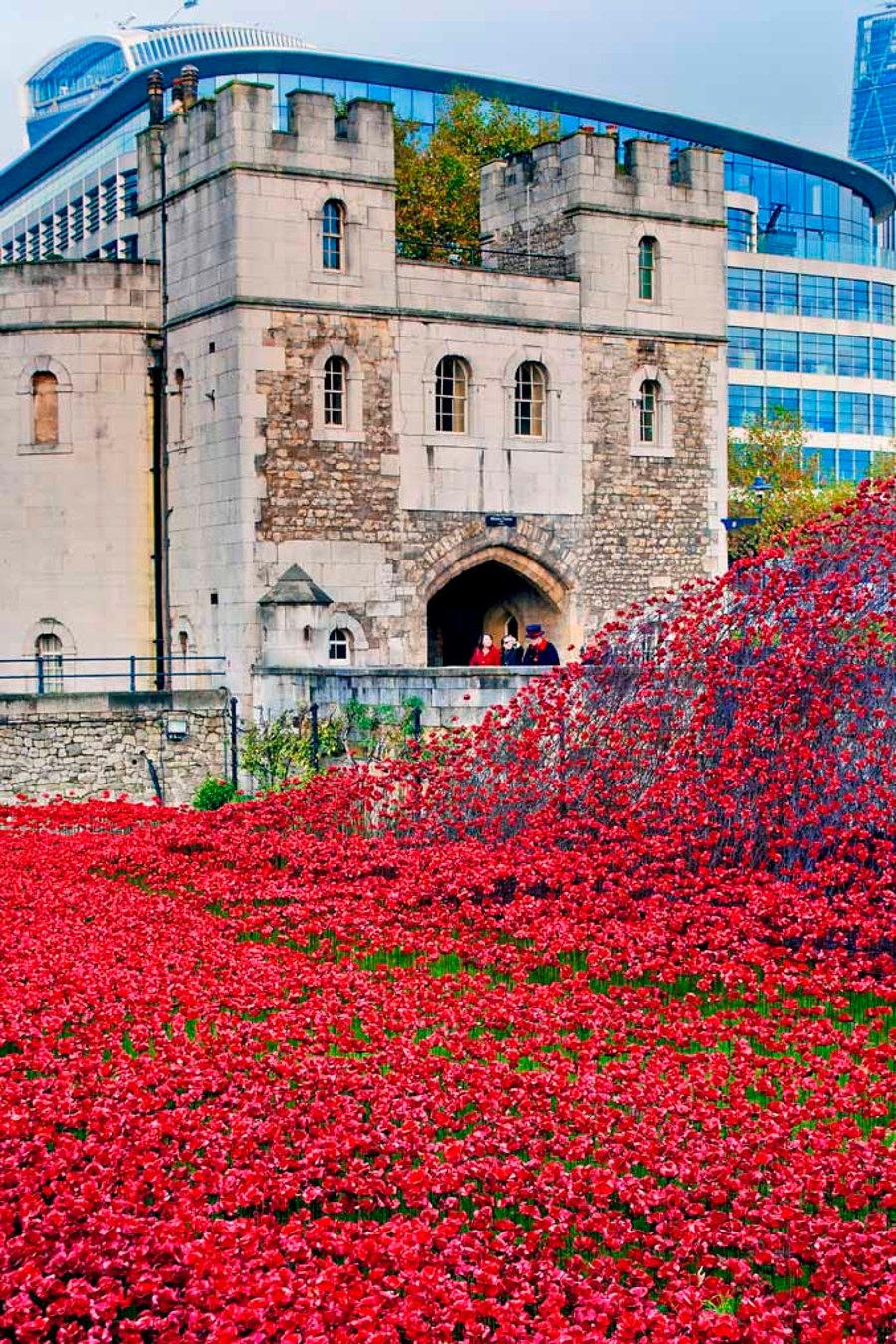 Tower Of London Red Poppy Memorial England Photograph Print