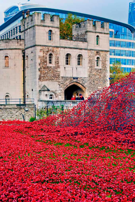 Tower Of London Red Poppy Memorial England Photograph Print