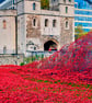 Tower Of London Red Poppy Memorial England Photograph Print - Image 1