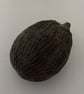 Hedgehog - Image 4