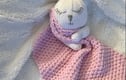 Baby & Toddler Comforters