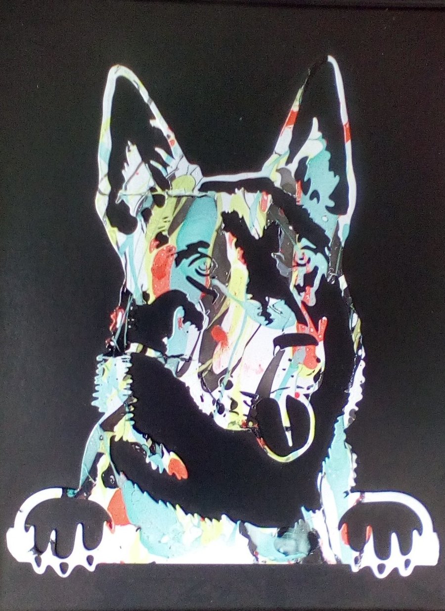 German Shepherd Picture