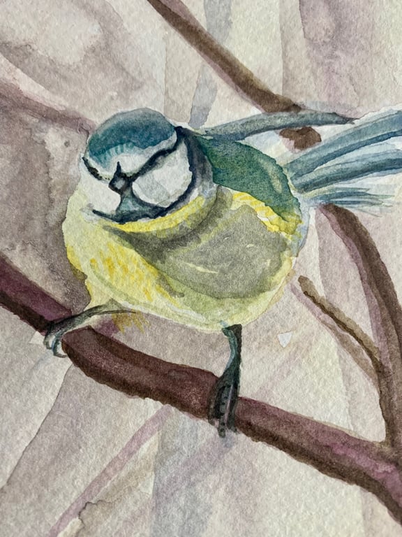 Blue tit bird (original watercolour painting)