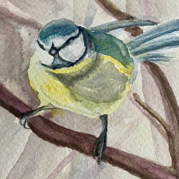 Blue tit bird (original watercolour painting)