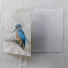 Kingfisher - Greetings Card