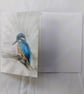 Kingfisher - Greetings Card