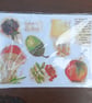 Autumn bunting craft kit  - Image 3