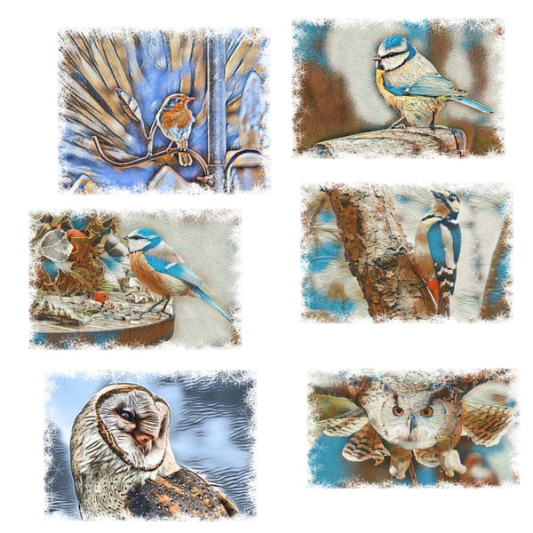 Pack of 6 Wild Bird Themed A5 Blank Christmas Greeting Cards.