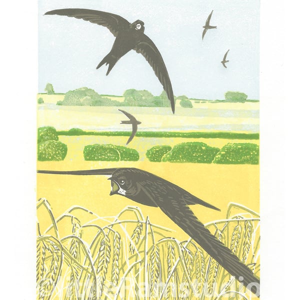 Rural Swifts - Original limited edition linocut print