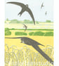 Rural Swifts - Original limited edition linocut print