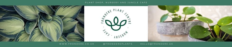 Frondere Plants