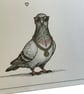 Funny Pigeon Birthday Card. Handmade Humorous Birthday Card. Quirky Birthday - Image 6
