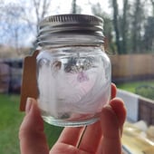 Nannie's Special Moments