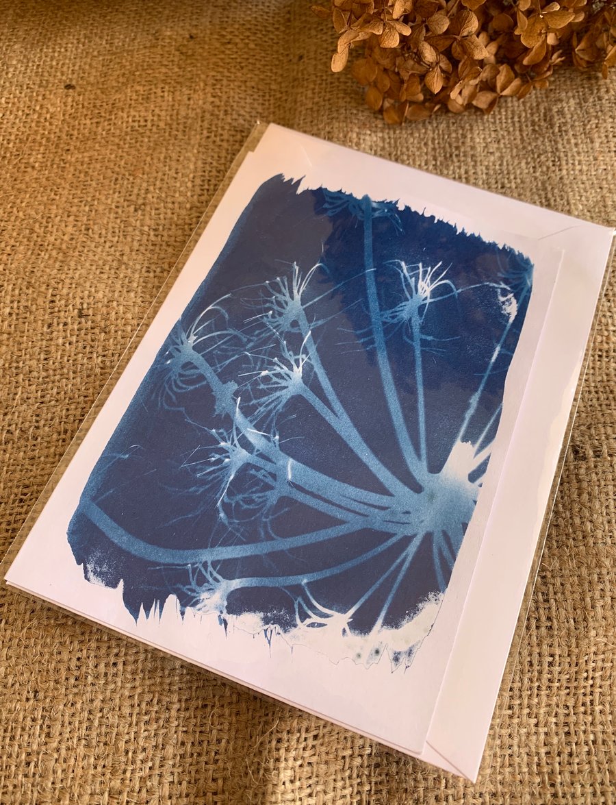 REDUCED Hand Printed Cyanotype Greeting Card no1