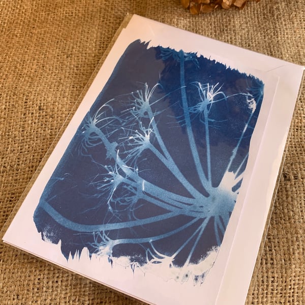 REDUCED Hand Printed Cyanotype Greeting Card no1