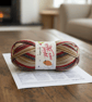 Stylecraft Festive Sock Yarn Knit Kit – Tis the Season - Image 2