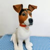Jack Russell 