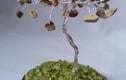 Gemstone Trees