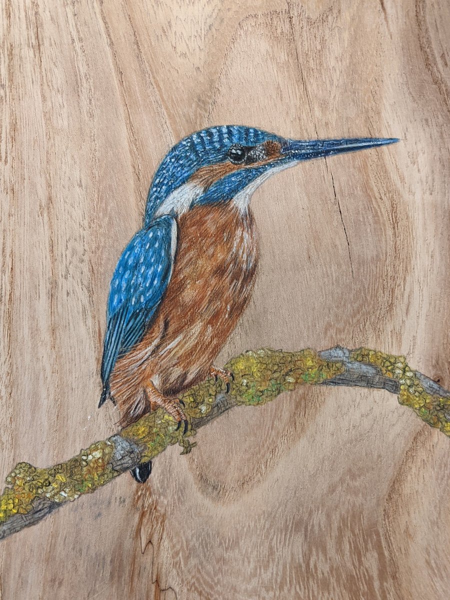 Original Large kingfisher painting on reclaimed and repurposed wood (elm)
