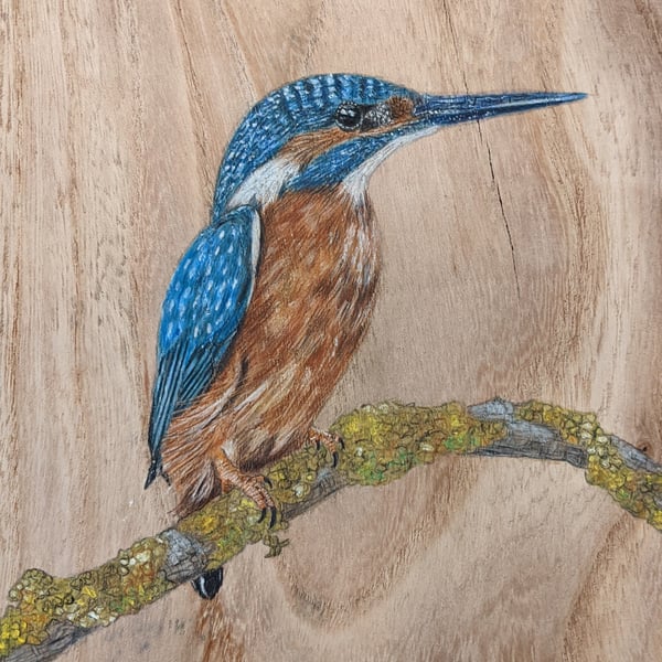 Original Large kingfisher painting on reclaimed and repurposed wood (elm)