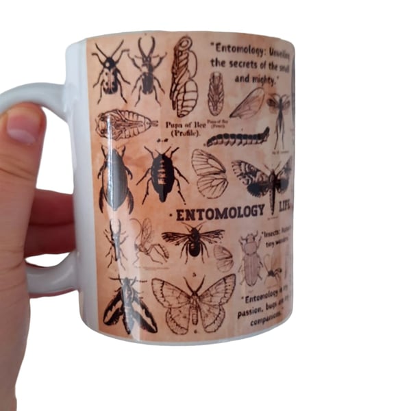 Insects Bugs Design Mug 11oz for Entomology Insects lovers nature nerds