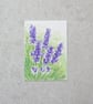 Original Watercolour ACEO Lavender