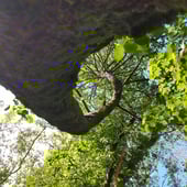 Sulwen Arts