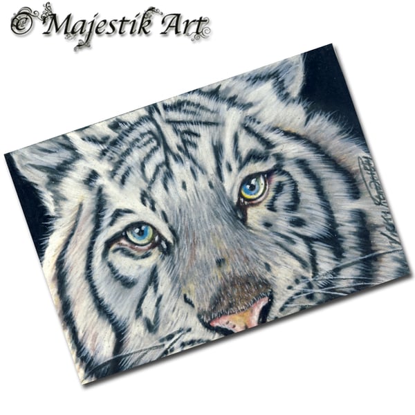 Archival ACEO White Tiger Print 'Blanc' By V Kenworthy