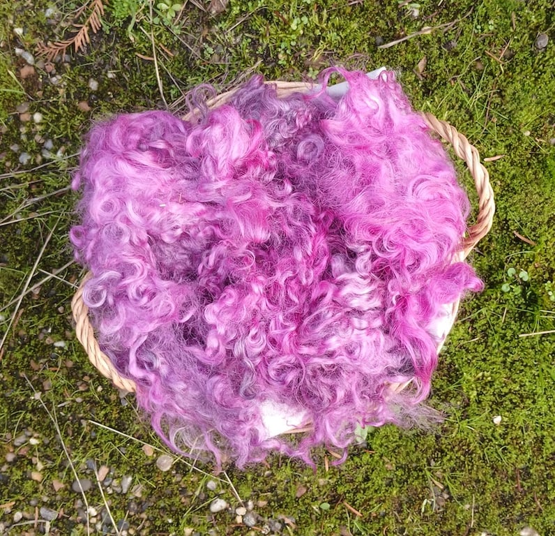 Pale Magenta Gotland Fleece