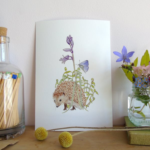 Hedgehog and Bluebell A5 Giclée Fine Art Print