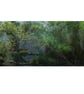 'What The River Says (1)'