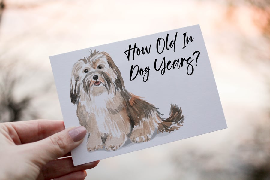 Havanese Dog Birthday Card, Dog Birthday Card, Personalized