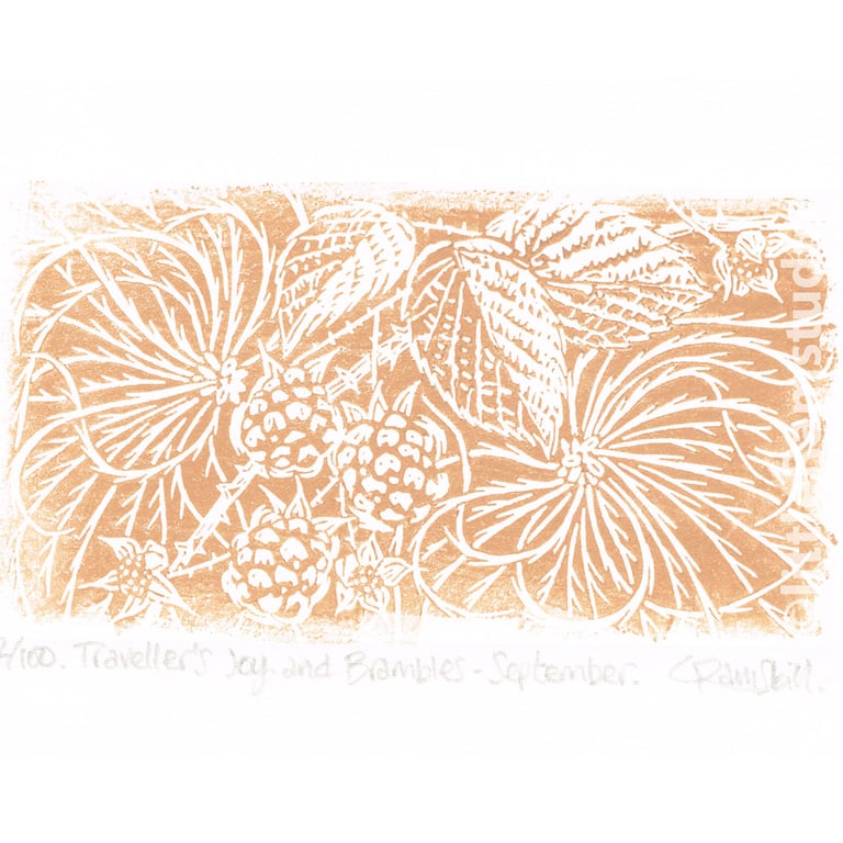 September, Traveller's Joy and Brambles - Original limited edition linocut print