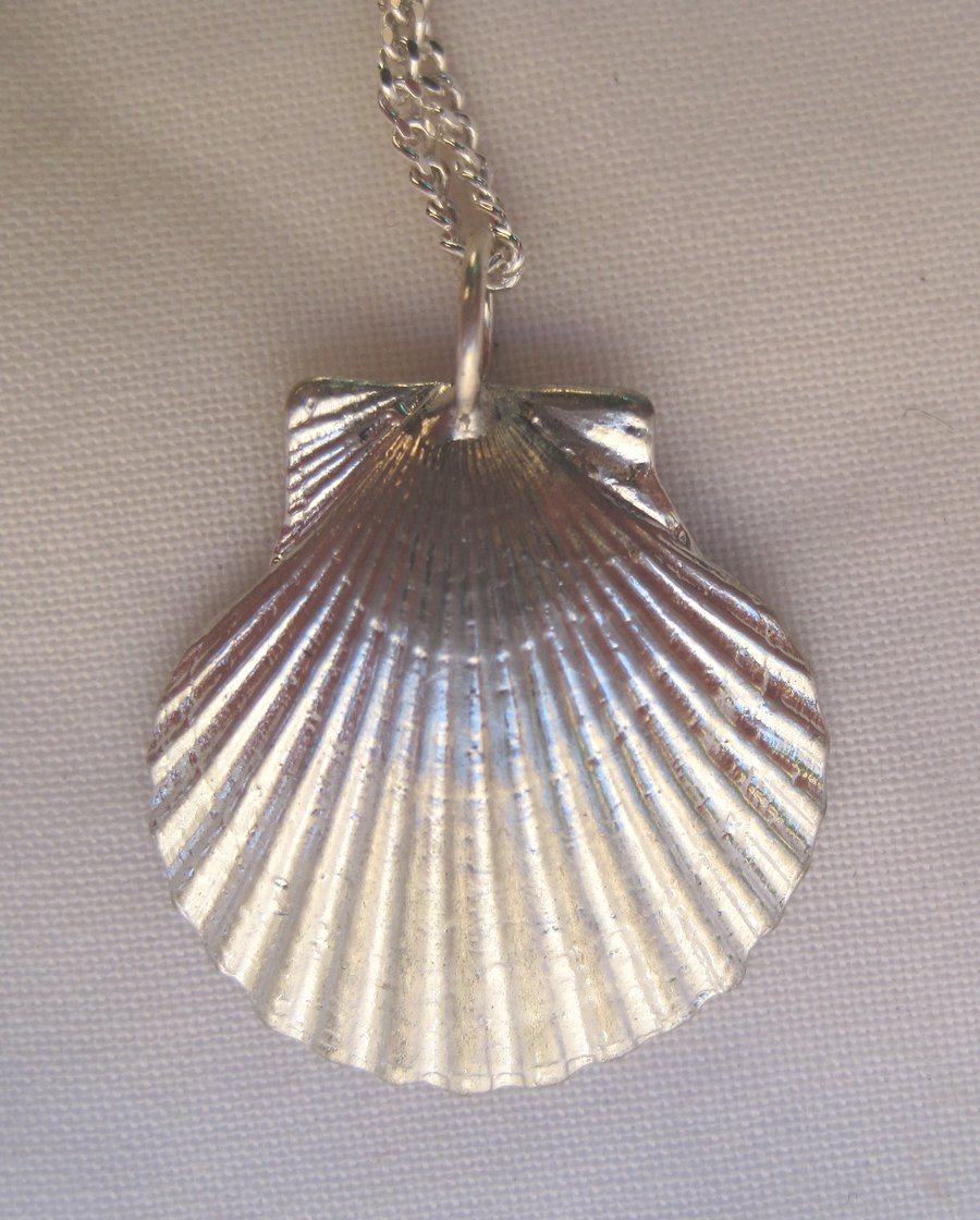 Small scallop shell pewter pendant necklace with sterling silver chain