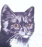 Lovely Black and white cat with her kittens cushion - Image 3