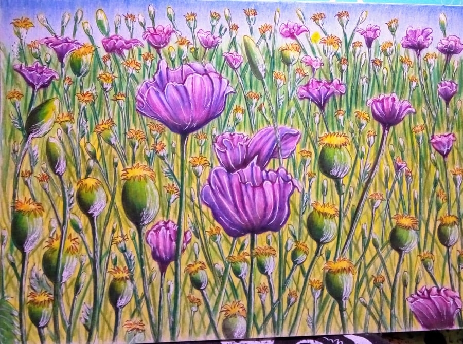 Original Beautiful Pink Poppy Field Drawing Art
