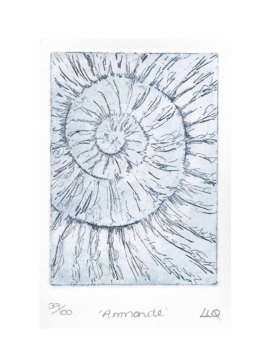 Etching no.37 of an ammonite fossil in an edition of 100